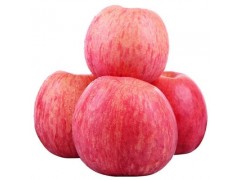 陕西洛川红富士苹果5斤8斤新鲜当季水果酸甜清香脆甜可口一件代发