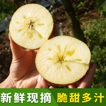 四川高原大凉山盐源丑苹果脆甜5/10斤冰糖心苹果红富士新鲜水果