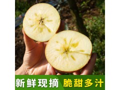 四川高原大凉山盐源丑苹果脆甜5/10斤冰糖心苹果红富士新鲜水果