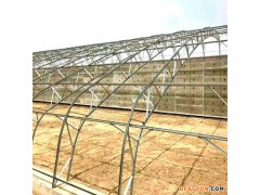 蔬菜大棚建设 北京蔬菜大棚钢管厂