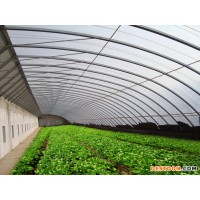 神农蔬菜大棚造价 薄膜温室蔬菜大棚 设计蔬菜大棚