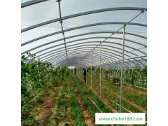 蔬菜溫室大棚 蔬菜溫室大棚造價 蔬菜溫室大棚搭建