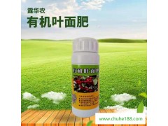 禾康永丰 芹菜抗病增产宝 芹菜增产专用叶面肥