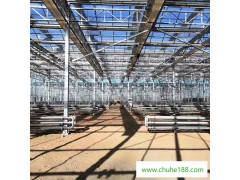 温室工程 宁德 设施大棚 芹菜种植温室