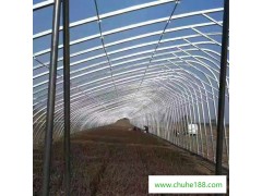 芹菜种植温室 温室大棚 温室镀锌管大棚