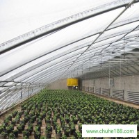 芹菜种植温室 河北建设大棚生产折弯打孔定制