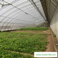 陇南 大棚温室材料 建设大棚 芹菜种植温室