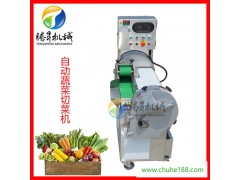 腾昇TS-Q115B新款切菜机 可拆输送带叶菜切菜机 马家沟芹菜切段机 切丝机