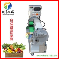 腾昇TS-Q115B新款切菜机 可拆输送带叶菜切菜机 马家沟芹菜切段机 切丝机