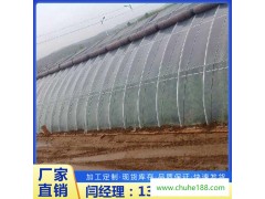 种植棚 温室大棚 骨架大棚造价 芹菜种植温室