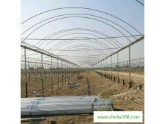钢管大棚 养殖大棚用管 芹菜种植温室
