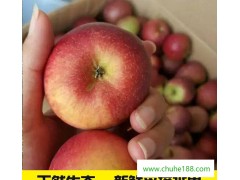 直销苹果新鲜水果 特级绿色食品苹果 蒙自自销水果苹果