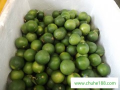 供应越南进口青柠檬 新鲜水果 有机水果