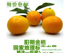 陽朔金桔 新鮮水果 小橘子 廣西桂林特產桔子 禮盒裝 綠色產品