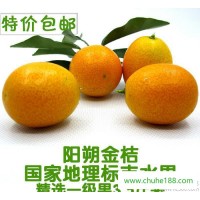 阳朔金桔 新鲜水果 小橘子 广西桂林特产桔子 礼盒装 绿色产品