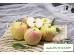 山東蘋果新鮮水果5/10斤裝脆甜多汁代發蘋果批發生鮮水果批發