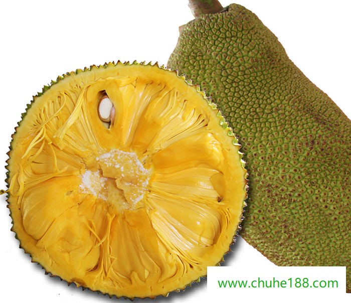 海南热带水果基地新鲜水果、菠萝蜜一手货源、诚招微商代理