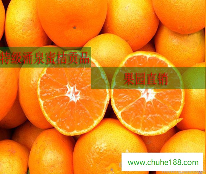 涌泉蜜桔桔子台州特产新鲜水果黄岩蜜橘送领导送长辈特级贡品水果