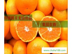 涌泉蜜桔桔子台州特产新鲜水果黄岩蜜橘送领导送长辈特级贡品水果