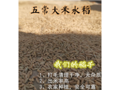 【溪林禾谷】五常大米稻谷稻子种带壳水稻谷子稻子粮食可自己磨米