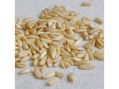 五谷杂粮燕麦米生燕麦仁粒片裸燕麦全胚芽米燕麦米高营养杂粮批发