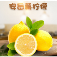 四川安岳黄柠檬1斤皮薄多汁籽奶茶饮品配料新鲜水果非青柠
