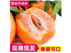 新鮮時令水果 椪柑雷家坪椪柑批發 五斤裝鮮嫩柑橘