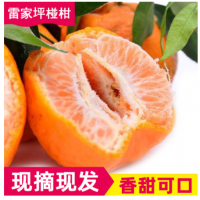 新鲜时令水果 椪柑雷家坪椪柑批发 五斤装鲜嫩柑橘