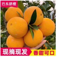 脐橙 新鲜水果脐橙 巴西脐橙批发当季应季水果 橙子可一件代发