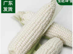 台湾水果玉米爆浆新鲜生吃甜玉米全 年供应批量发货支持一件代发