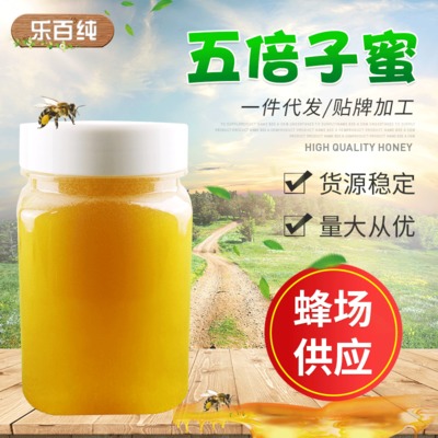 蜂場批發五倍子蜂蜜 貼牌加工土蜂蜜原蜜500克現貨供應五倍子蜂蜜