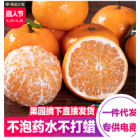 广西武鸣沃柑现摘新鲜橘子一件代发5斤10斤礼盒基地直发当季水果