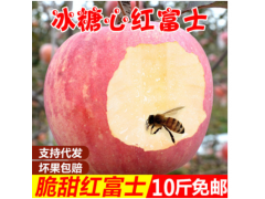 顺丰 山西苹果冰糖心红富士 10斤新鲜水果批发丑苹果红富士苹果