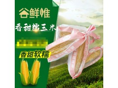 东北新鲜糯玉米纸包装香甜可口黄糯玉米批发10支/箱