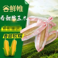 东北新鲜糯玉米纸包装香甜可口黄糯玉米批发10支/箱