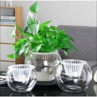 玻璃花瓶透明水培风信子绿萝花盆客厅室内鱼缸圆形水养植物器皿