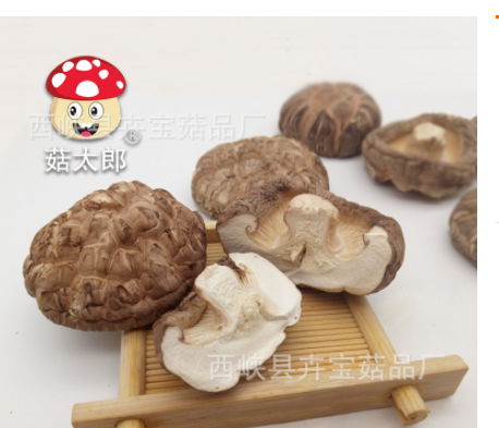 菇太郎茶花菇農產品干貨干香菇農家特產冬菇蘑菇出口日韓可商檢