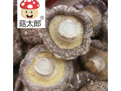 菇太郎香菇批发西峡特产香菇干货 精选冬菇可出口商检欧洲干香菇