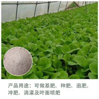 微生物菌剂 复合肥料 化肥 水溶肥 蔬菜瓜果农作物生物肥批发