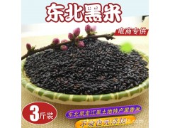 东北天然黑米农家黑龙江新香米黑紫大米3斤五谷杂粮电商代发
