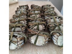 沱湖螃蟹688型自然原產地 中秋現貨滿黃滿膏個大味美現貨量大從優