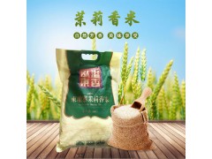 茉莉香米5kg 10斤大米長粒大米秈米軟糯可口稻米