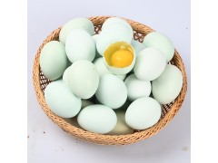 一件代发林散养鸡蛋农家散养新鲜笨鸡蛋 水蒸蛋绿壳鸡蛋一件可批