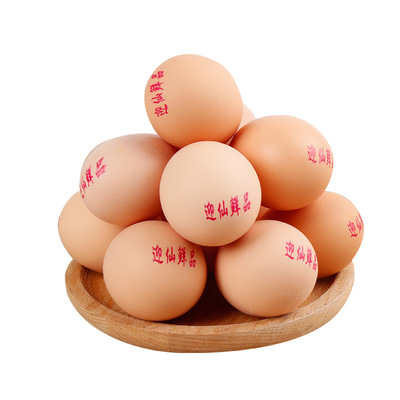 迎仙鮮品土雞蛋360枚裝臨泉農家散養土雞蛋廠家直銷批發