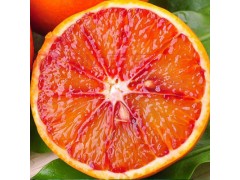 四川资中血橙5斤大果新鲜水果柑橘橙子一手货源产地直发批发