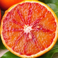四川资中血橙5斤大果新鲜水果柑橘橙子一手货源产地直发批发