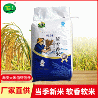 海安清香软米 米粒饱满口感软糯清香大米 厂家供应量大从优