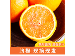皮薄多汁水果脐橙当季新鲜柑橘脐橙尝鲜多汁鲜甜果园现摘应季橙子