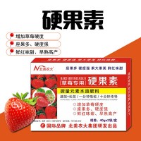 草莓硬果素靓果素叶面肥增加草莓硬度座果稳果大果美早熟厂家批发