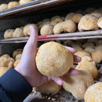 猴头菇干货批发 猴头菇饼干源料工厂 猴头菇粉厂家直销500可散装